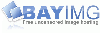 Bayimg logo